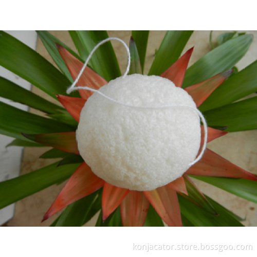 facial natural vegetable konjac sponge